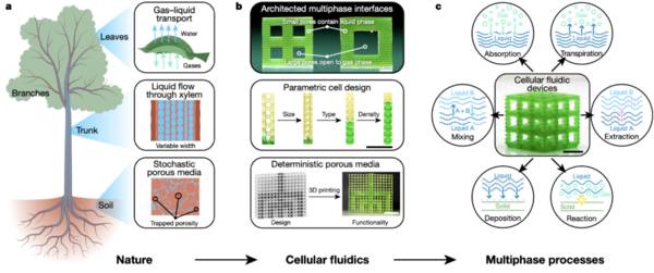 Nature最新封面：科学家提出“细胞流体学”全新概念，可编程设计精确控制，应用前景巨大