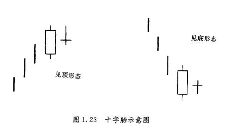 十字胎的形态特点是什么？