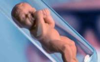 两省推进“试管婴儿”纳入医保，4000亿辅助生殖风口加速来了