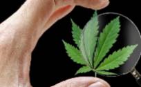 德林社：仁和药业“秘而不宣”？4亿工业大麻项目被曝“烂尾”了