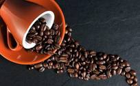 头部失速行业内卷，咖啡为何成为创业苦旅？